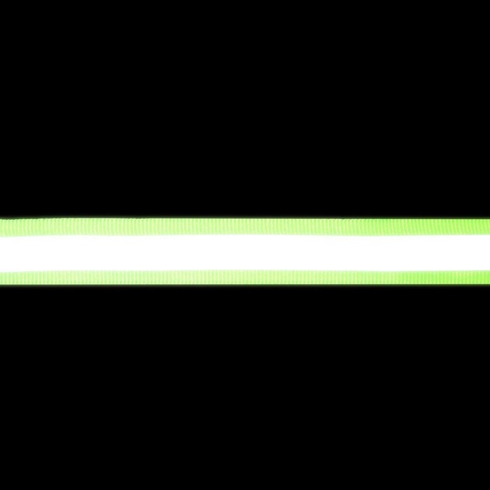 Светоотражающая лента-стропа, 10 мм, 5 &plusmn; 1 м, цвет салатовый