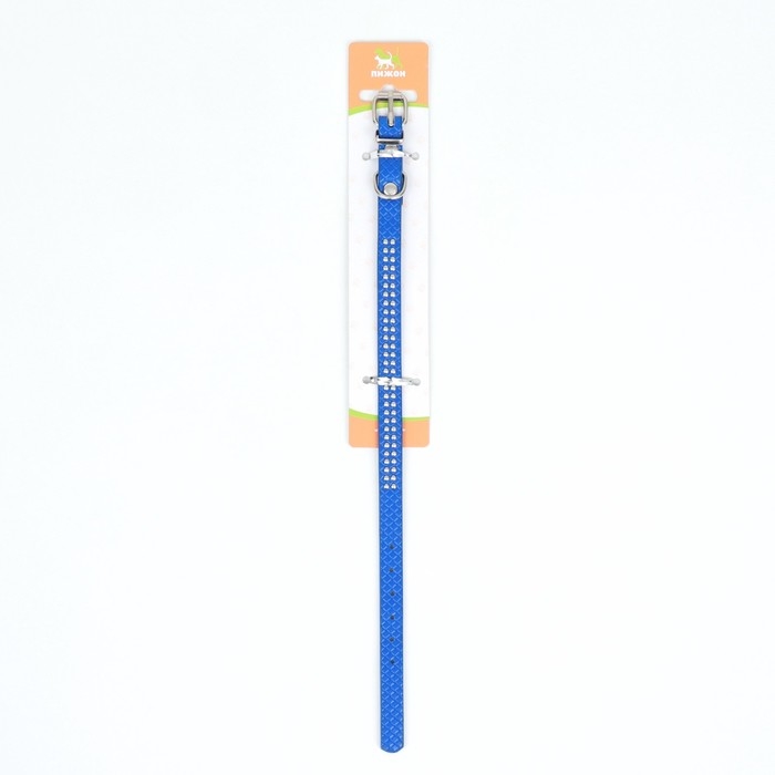 Ошейник рифленый с 2 рядами клепок, 33 х 1,2 см, ОШ 23-29, синий