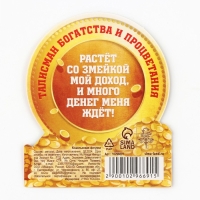 Кошельковый талисман новогодний &laquo;Новый год: Больших денег&raquo;, фигурка, 7 х 10 см,
