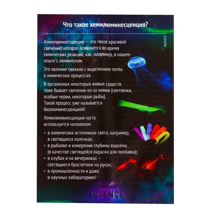 Набор для опытов &laquo;Новогоднее чудо&raquo;, в пакете