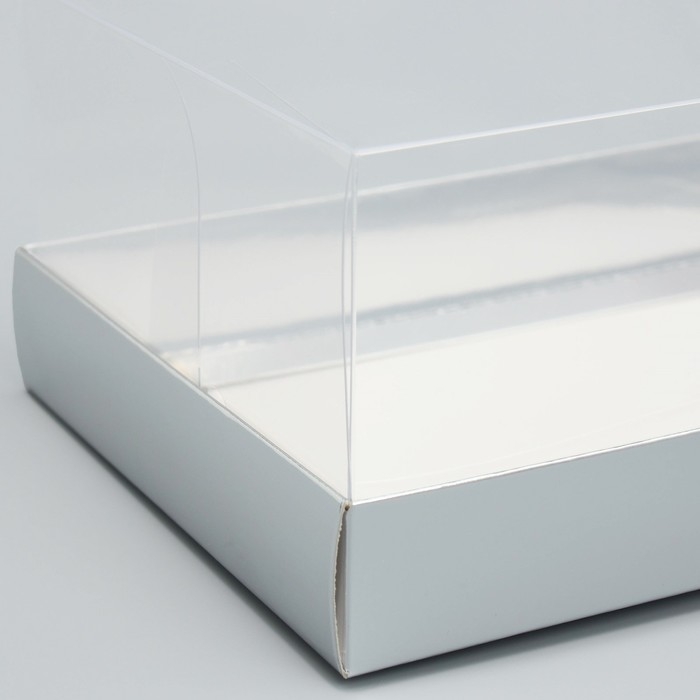 Коробка кондитерская &laquo;Серебристая&raquo;, 22 х 8 х 13.5 см