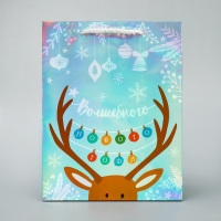 Пакет голографический &laquo;Волшебного&raquo;, MS 18 х 23 х 10 см, Новый год