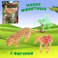 Набор животных &laquo;Животный мир&raquo;, 2 фигурки