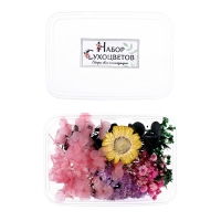 Набор для творчества &laquo;Набор сухоцветов&raquo;, малый, розовый