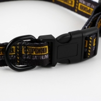 Ошейник &laquo;Осторожно&raquo;, застёжка - фастекс, 2 см 25-40 см