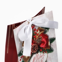 Пакет подарочный новогодний с лентой &laquo;Новый год&raquo;, 13 х 19 х 9 см , Новый год