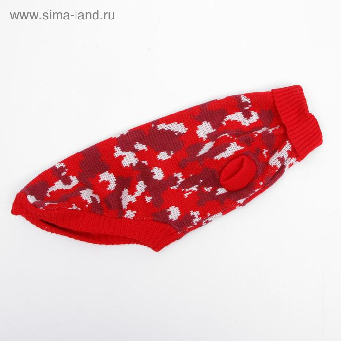 Свитер, размер 16 (ДС 45-60, ОШ 20-37, ОГ 37-52 см), микс расцветок Свитер, размер 16 (ДС 45-60, ОШ 20-37, ОГ 37-52 см), микс расцветок