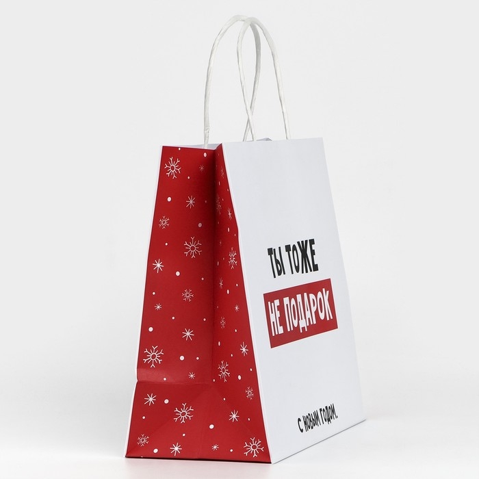Пакет подарочный новогодний &laquo;Ты тоже не подарок&raquo;, 22 х 22 х 11 см