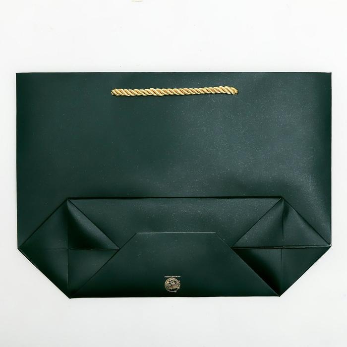 Пакет подарочный, упаковка, Present for you, 19 х 20 х 9 см