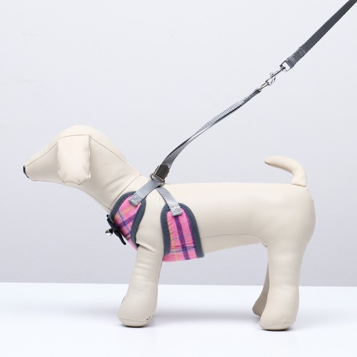 Комплект амуниции с мягкой шлейкой, М, поводок 120 х 1 см, розовый Комплект амуниции с мягкой шлейкой, М, поводок 120 х 1 см, розовый