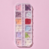 Сухоцветы для декора ногтей &laquo;Нежность&raquo;, объёмные, 12 видов, в футляре, разноцветные
