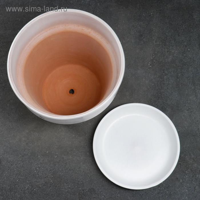 Горшок цветочный Кот 7 л