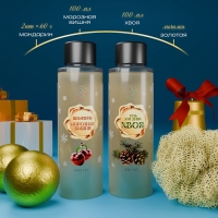 Новогодний подарочный набор косметики &laquo;Волшебница зима&raquo; для душа и ванны, золотая серия