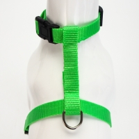 Комплект для кошек, ширина 1,5 см, ОШ 16,5-27 см, ОГ 21-35 см, поводок 120 см, зелёный