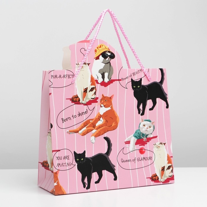 Пакет подарочный, упаковка, &laquo;Girl PWR&raquo;, 25 х 26 х 10 см