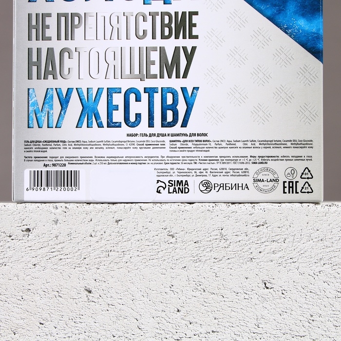 Подарочный набор косметики новогодний &laquo;Твои возможности безграничны&raquo;, гель для душа и шампунь для волос , 2 х 250 мл, Новый Год