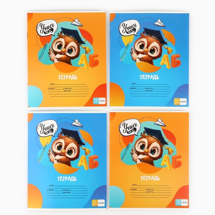 Набор первоклассника 32 предмета &laquo;1 сентября: Сова&raquo;