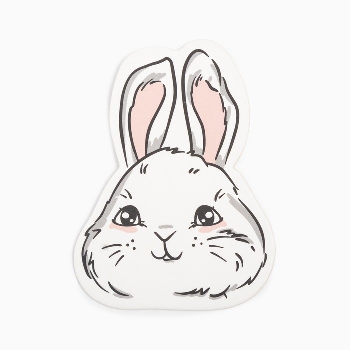 Подарочный набор для девочки KAFTAN &laquo;Зайка&raquo;, носки (размер 16-18) и аксессуары