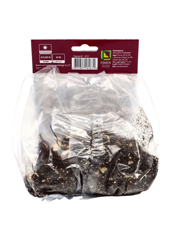 Купальница китайская, р-р I, 1 шт, Весна 2025 Купальница китайская, р-р I, 1 шт, Весна 2025