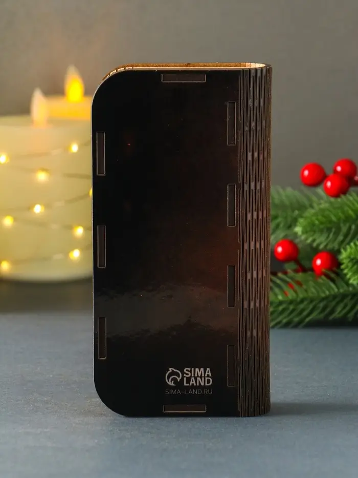 Новогодняя шкатулка "Богатства" 17х8,5 см