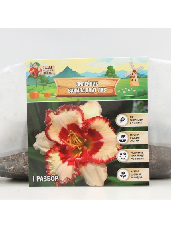 Лилейник Vanilla With Love, многолетник, корневище в пакете с торфогрунтом, р-р I, 1 шт.