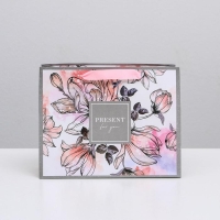 Пакет подарочный ламинированный горизонтальный, упаковка, &laquo;Present for you&raquo;, MS 23 х 18 х 10 см