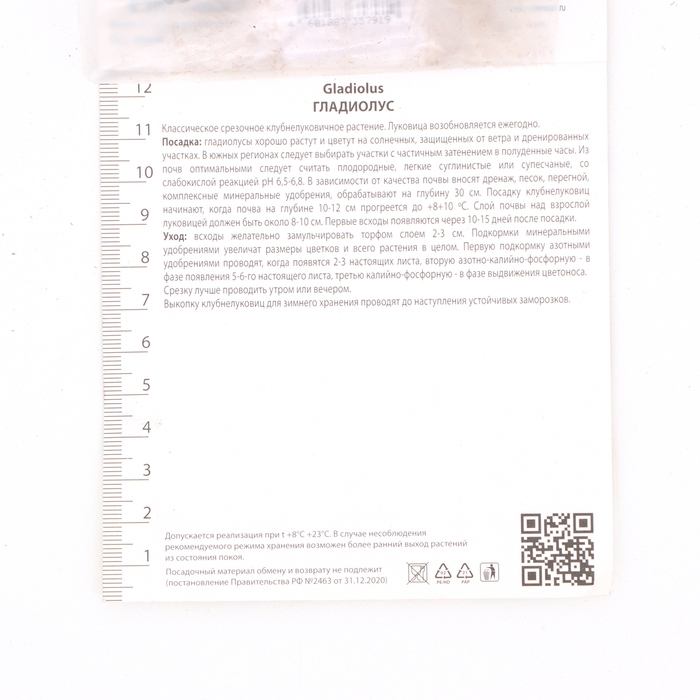 Гладиолус крупноцветковый &laquo;Эмбер Мистик&raquo;, луковица цветов в пакете с перфорацией, р-р 10/12, 10 шт.