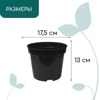 Горшок для рассады, 2 л, d = 17,5 см, h = 13 см, пластик, чёрный, Greengo