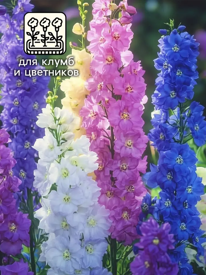 Семена цветов Дельфиниум "Океан страстей", ц/п,  смесь, 0,05 г