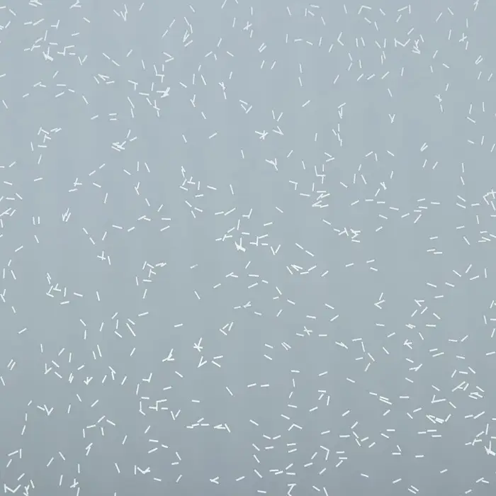 Пленка для цветов, "Звёздное небо", белый, 57х57 см