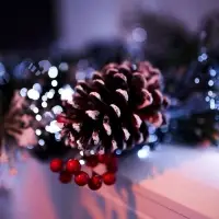 Хвойная гирлянда фиброоптическая &laquo;Заснеженная&raquo; 200 см, 8 режимов