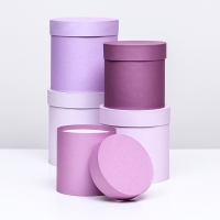 Набор круглых подарочных коробок 5 в 1 &laquo;Пудра&raquo;, 20 &times; 20 &times; 20‒13,5 &times; 13,5 &times; 13,5 см