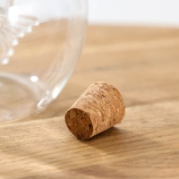 Бутыль стеклянная для соусов и масла 2 в 1 &laquo;Фьюжн. Рыбка&raquo;, 420/50 мл, 12,4&times;10&times;12 см