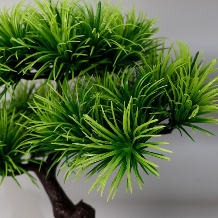 Бонсай в горшке &laquo;Агава прямая&raquo; 27х25 см