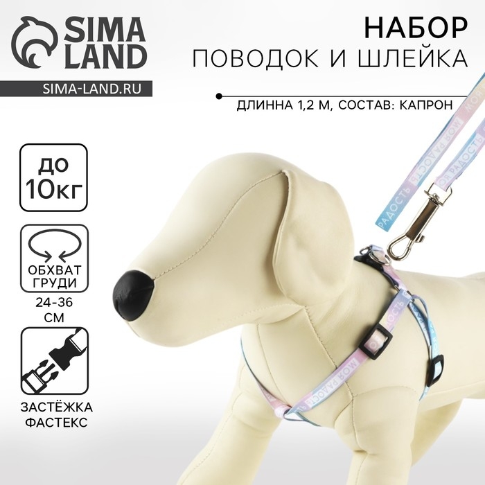 Комплект &laquo;Моя радость&raquo;, шлейка 24-36 см, поводок 120х1 см