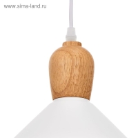 Светильник BayerLux 2034832/1 E27 40Вт белый 22х22х21 см