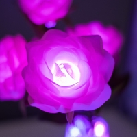 Ночник "Розы" 5хLED 4000К розовый 20х20х50см RISALUX Ночник "Розы" 5хLED 4000К розовый 20х20х50см RISALUX