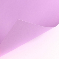 Картон цветной тонированный, А4, 8 листов, 8 цветов, немелованный, двусторонний, в пакете, 180 г/м&sup2;, Холодное сердце