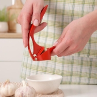 Пресс для чеснока Доляна &laquo;Краски&raquo;, 16 см, цвет МИКС