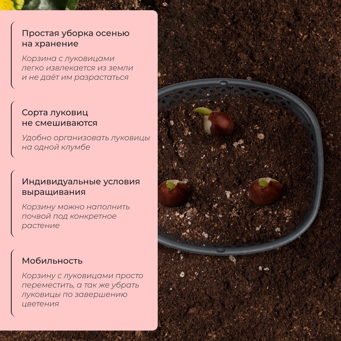 Корзинка для луковичных, овальная, 30.6 &times; 27 см, h = 7.5 см, МИКС