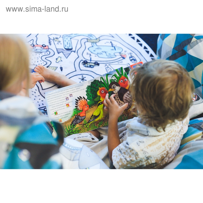 Музыкальная книга &laquo;Страусёнок&raquo;, 12 стр.