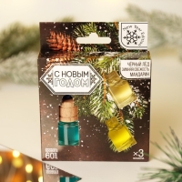 Ароматизаторы в машину &laquo;Крепость и выдержка&raquo;, черный лёд, зимняя свежесть, мандарин (набор 3 шт)