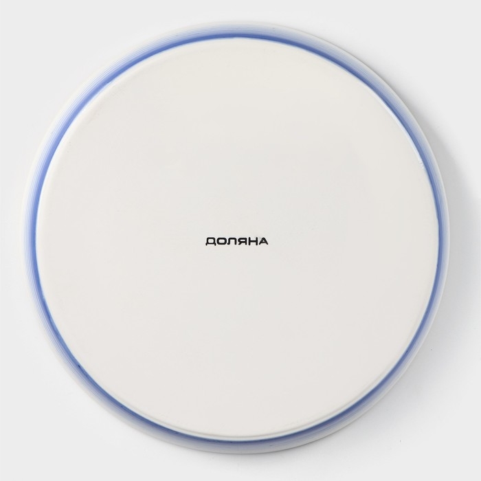 Форма для запекания из фарфора Доляна &laquo;Космос&raquo;, 1000 мл, d=25 см, цвет синий