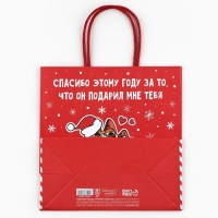 Пакет подарочный новогодний &laquo;Спасибо этому году&raquo;, 22 х 22 х 11 см