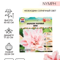 Амариллис Махровый Nymph, многолетник, луковица, р-р 22/24, 1 шт.