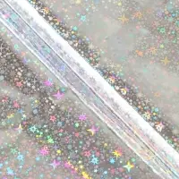 Пленка голографическая, "Звёздное небо", серебро, 70 см х 1 м