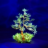 Растение искусственное аквариумное, светящееся, 10 см, красное Растение искусственное аквариумное, светящееся, 10 см, красное