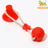 Игрушка для собак "Шар на присоске", 40 см, микс цветов Игрушка для собак "Шар на присоске", 40 см, микс цветов