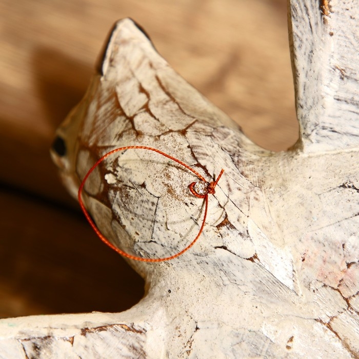 Сувенир "Черепаха" албезия 30х20х6 см