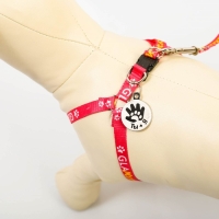 Комплект &laquo;Ты и я&raquo;, шлейка 26-39 см, поводок 120х1 см, медальон